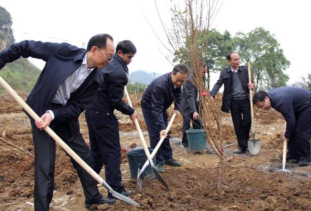 2021植树节