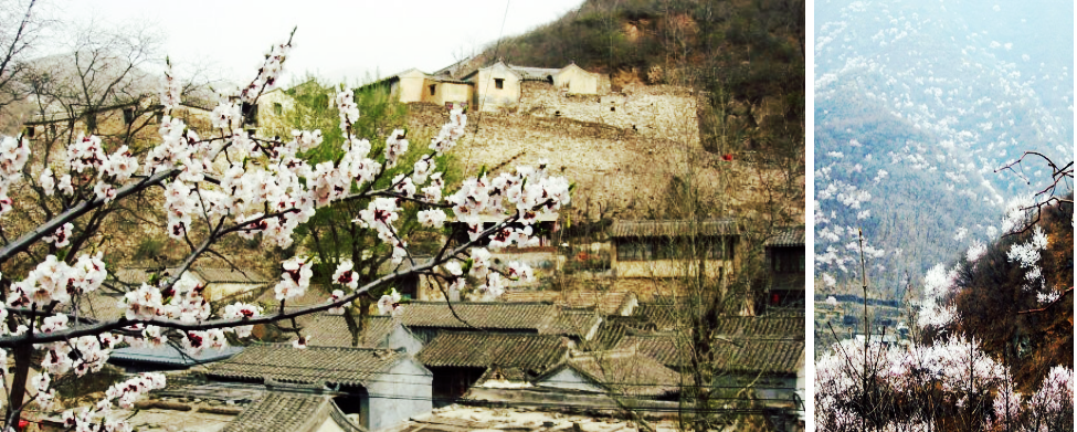 桃花朵朵开