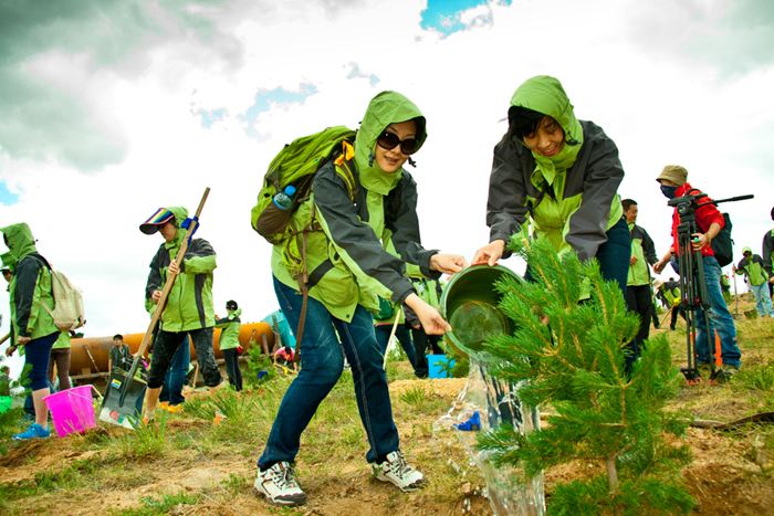 2019年北京植树活动开始啦！北京植树基地