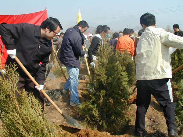 北京植树