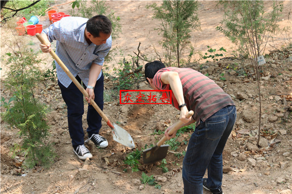 北京植树地点