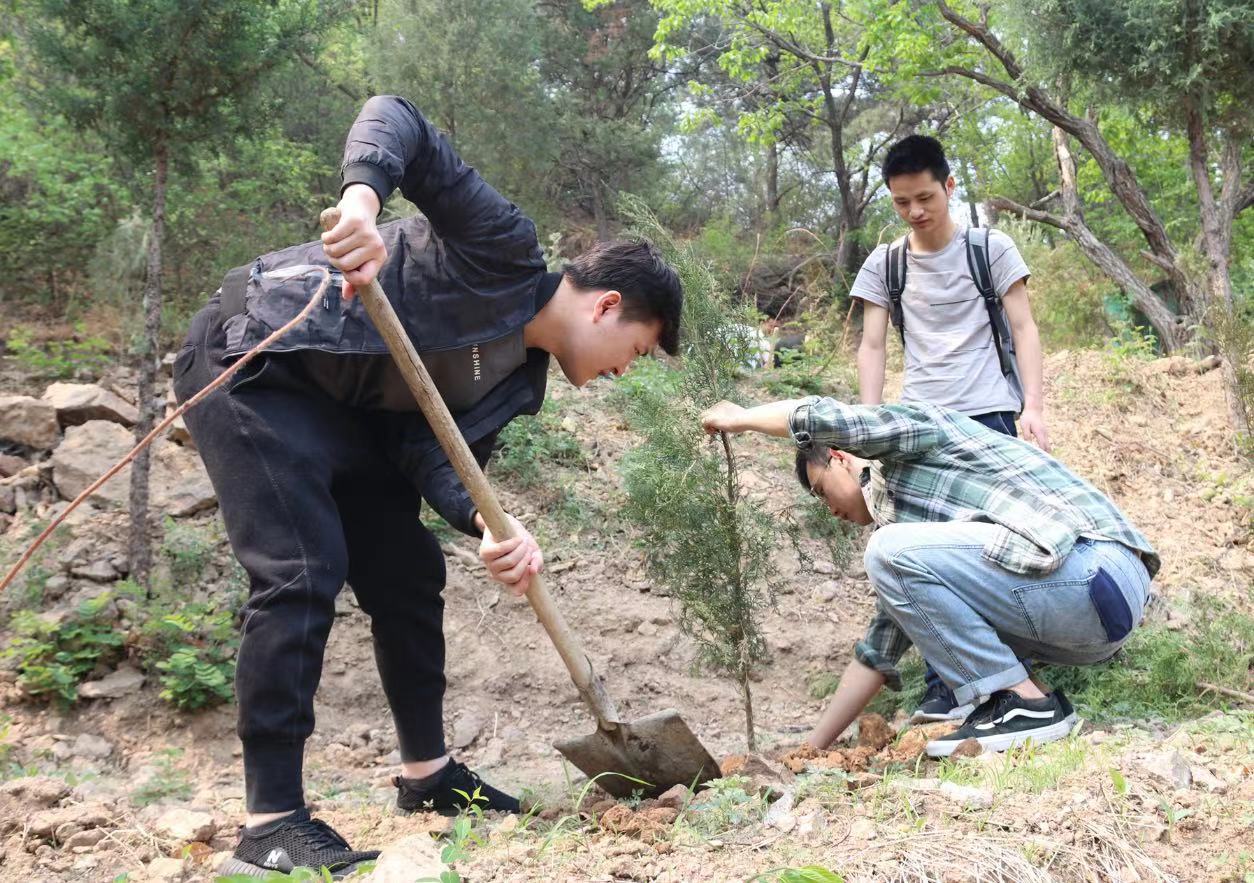 怀柔植树踏青活动