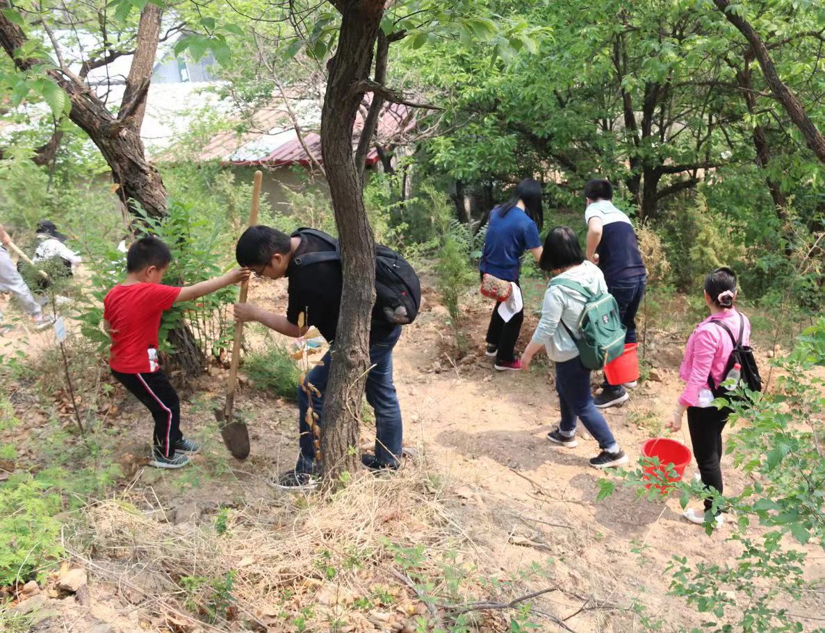 怀柔植树踏青活动